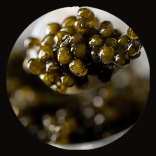 Grains de caviar Beluga